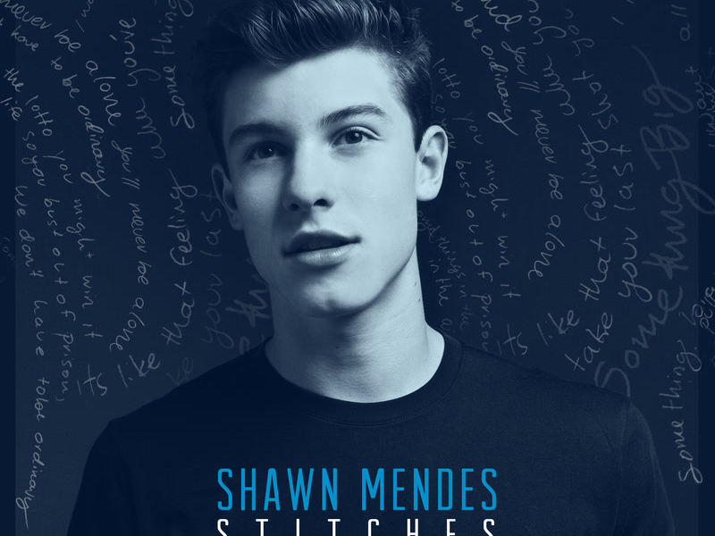 Stitches (Seeb Remix) (Single)