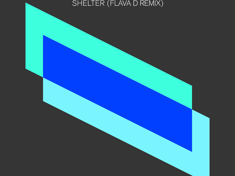 Shelter (Flava D Remix) (Single)