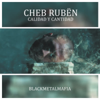 Calidad y Cantidad (Single)