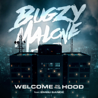 Welcome To The Hood (Single)