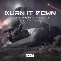 Burn It Down (Single)