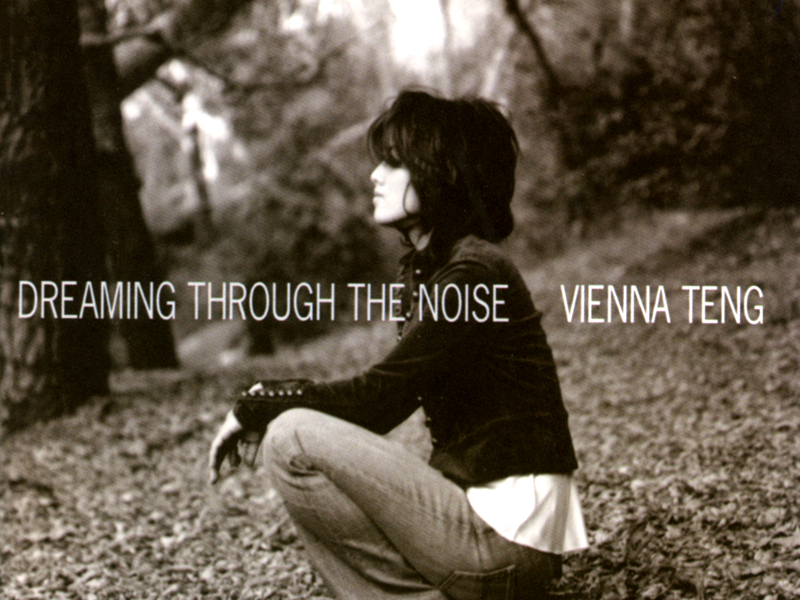 Dreaming Through The Noise