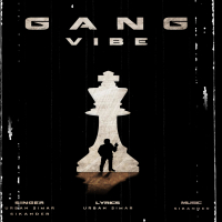 Gang vibe (feat. sikander) (Single)
