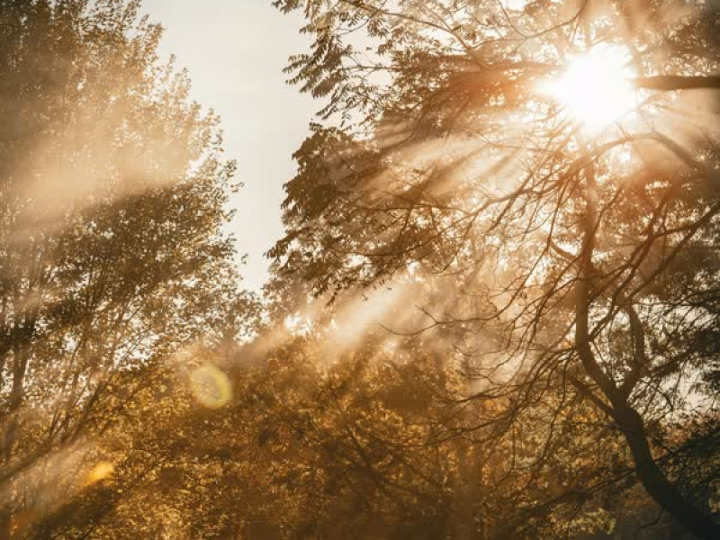 A collection of songs good for morning meditation Vol.3 (EP)