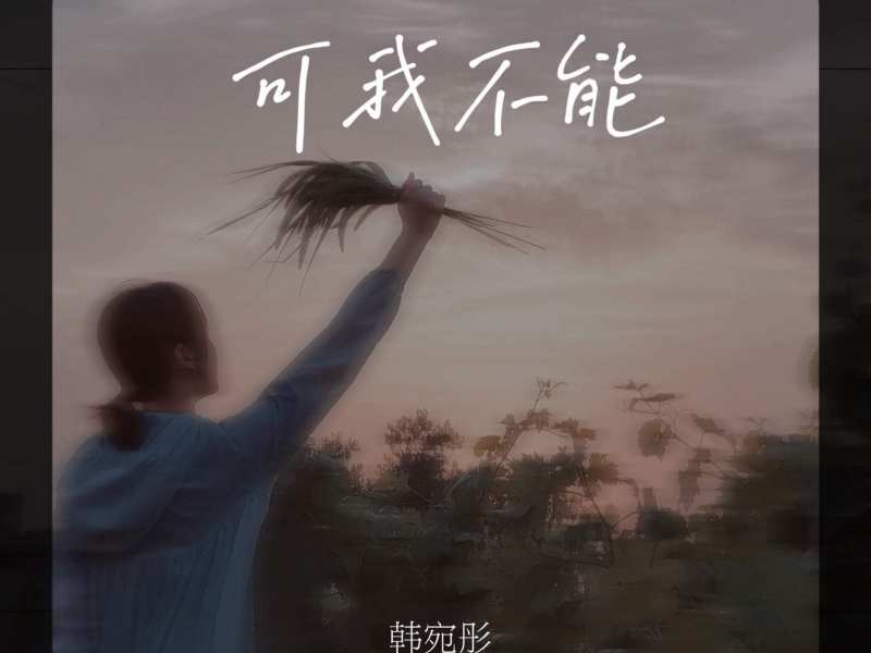 可我不能 (Single)
