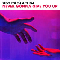 Never Gonna Give You Up (Single)