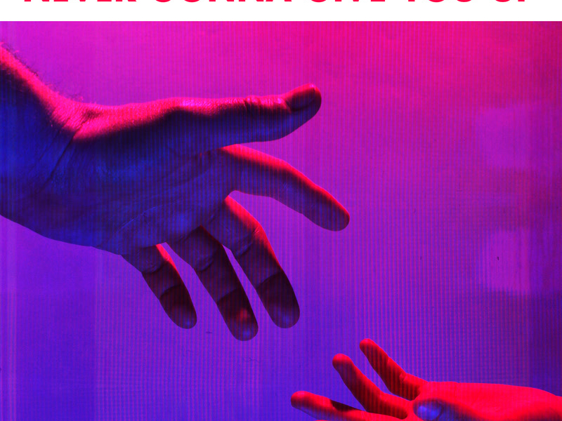 Never Gonna Give You Up (Single)