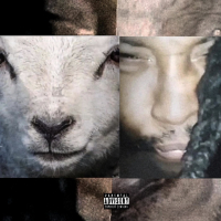 What You Need (Single)