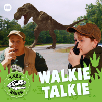 Walkie Talkie (Single)