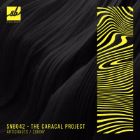 Artichauts / Zukiny (EP)