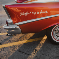 PERFECT TOY TO BREAK (Single)