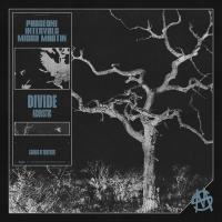 DIVIDE (Acoustic) (Single)