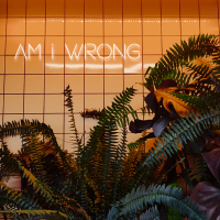 AM I WRONG (DRILL) (Single)