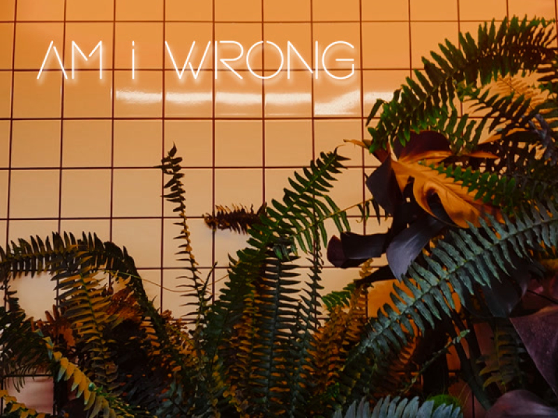 AM I WRONG (DRILL) (Single)