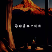 敬往事杯中沉浮 (再无痴情人语录) (Single)