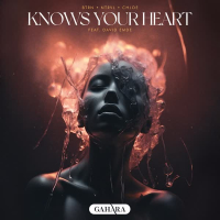 Knows Your Heart (feat. David Emde) (Single)