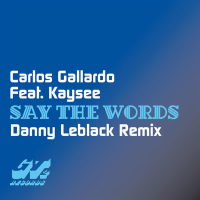 Say the Words (Danny Leblack Remix) (Single)