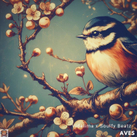 Aves (Single)