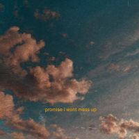 promise I won't mess up (Single)