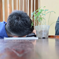 Vừa Ngủ Vừa Còn Phải Đẹp Trai (Single)