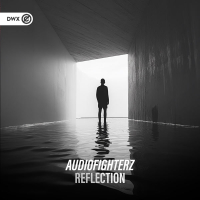 Reflection (Single)