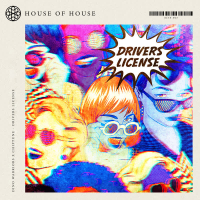 Drivers License (Single)