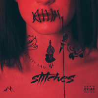 Stitches (Single)