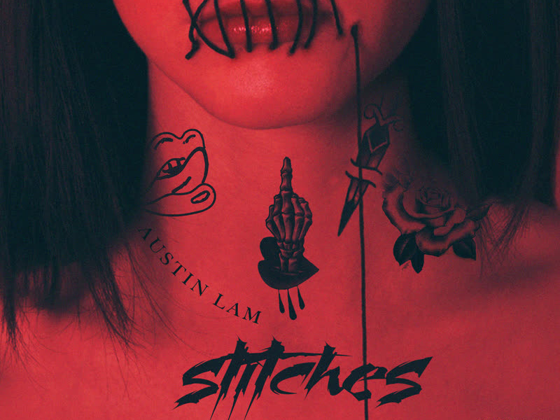 Stitches (Single)