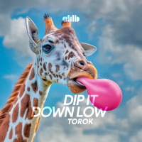 Dip It Down Low (Single)