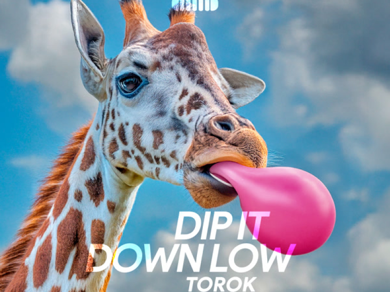 Dip It Down Low (Single)