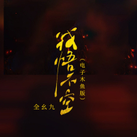 我悟不空 (电子木鱼版) (Single)