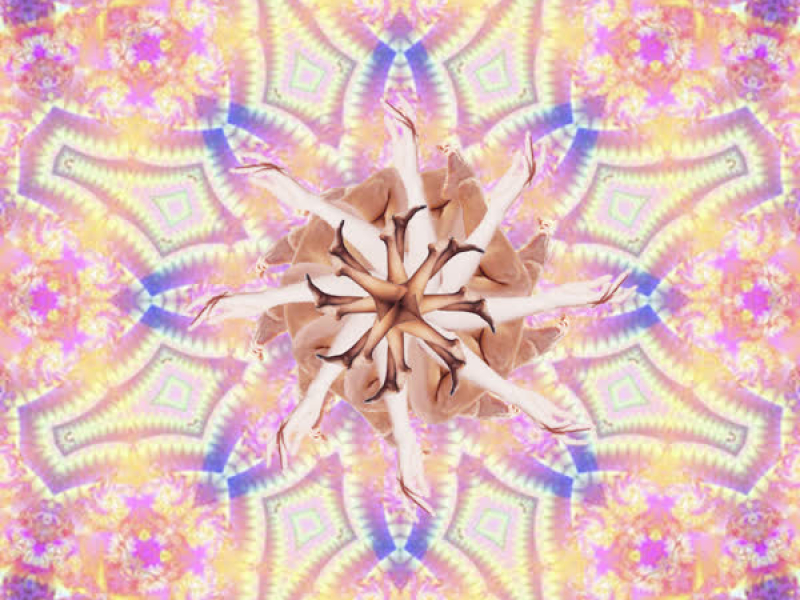 Mantra (Say My Name) (Single)