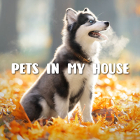 Pets In My House (Single)