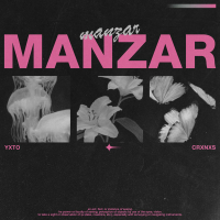 Manzar (Single)