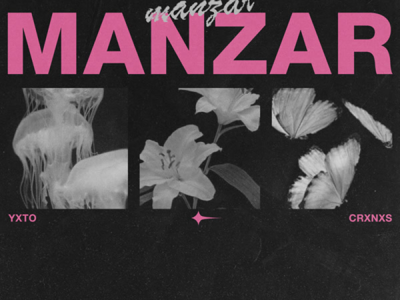 Manzar (Single)