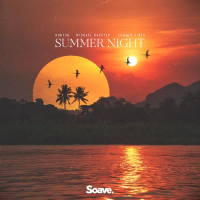 Summer Night (Single)