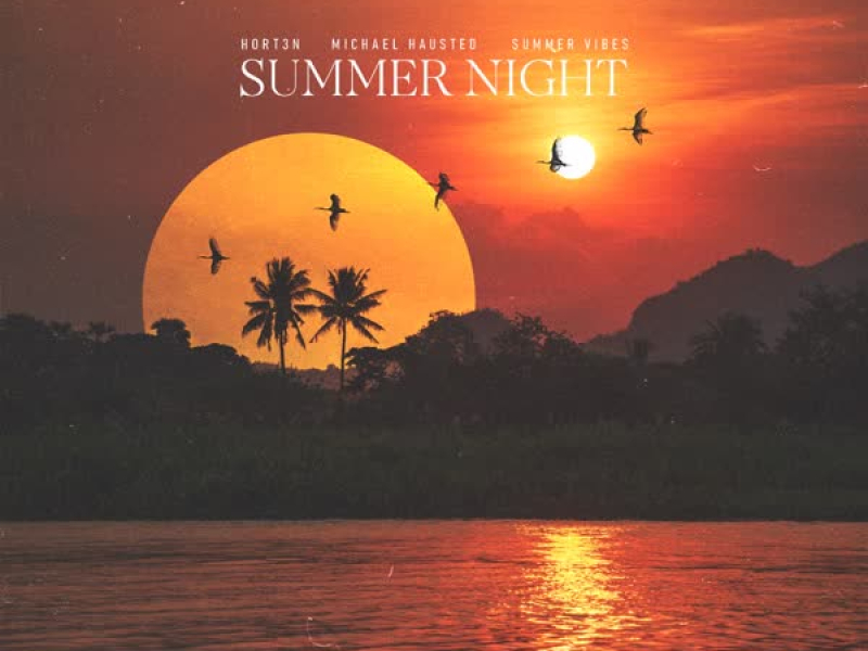 Summer Night (Single)