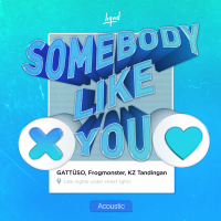 Somebody Like You (Acoustic) (Single)