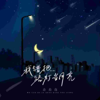 我错把路灯当月亮 (Single)