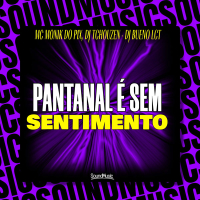 PANTANAL É SEM SENTIMENTO (Single)