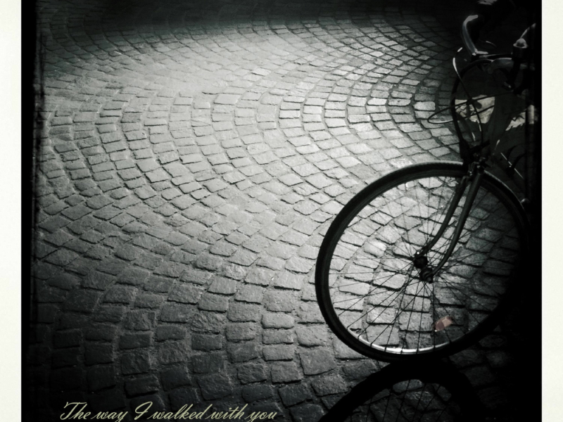 The Way I Walked With You (Single)