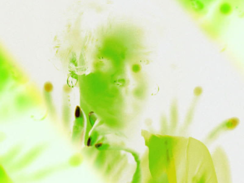 Aftermath (feat. Amos) (Cellini Remix) (Single)