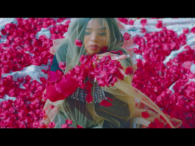 Die In Vain (MV) (Single)