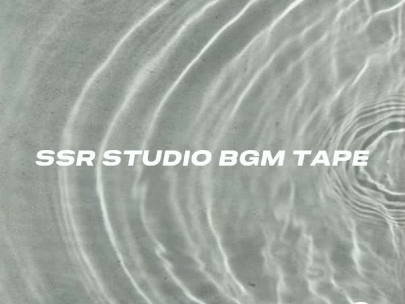 SSR Studio BGM Tape Vol.2 (EP)
