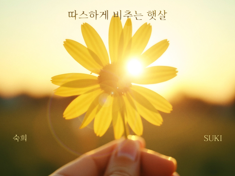 A Gentle Sunlight (Single)
