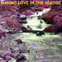 Making Love In The Seaside (Single)