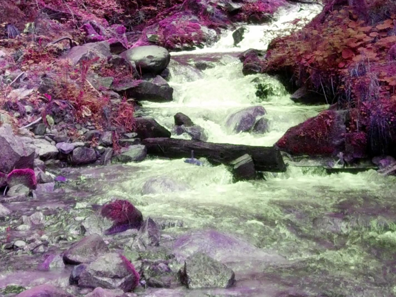 Making Love In The Seaside (Single)