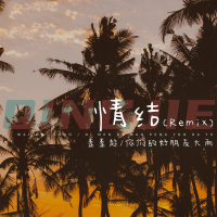 情结 (Remix) (Single)