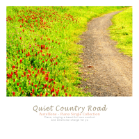 A secluded country road (Single)