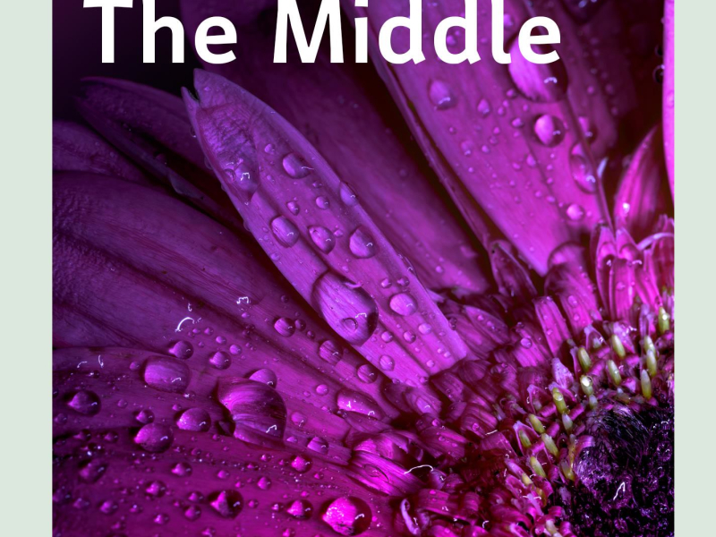 The Middle (Single)
